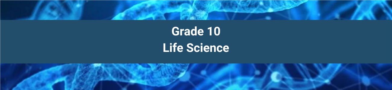 Class 10 Life Sciences