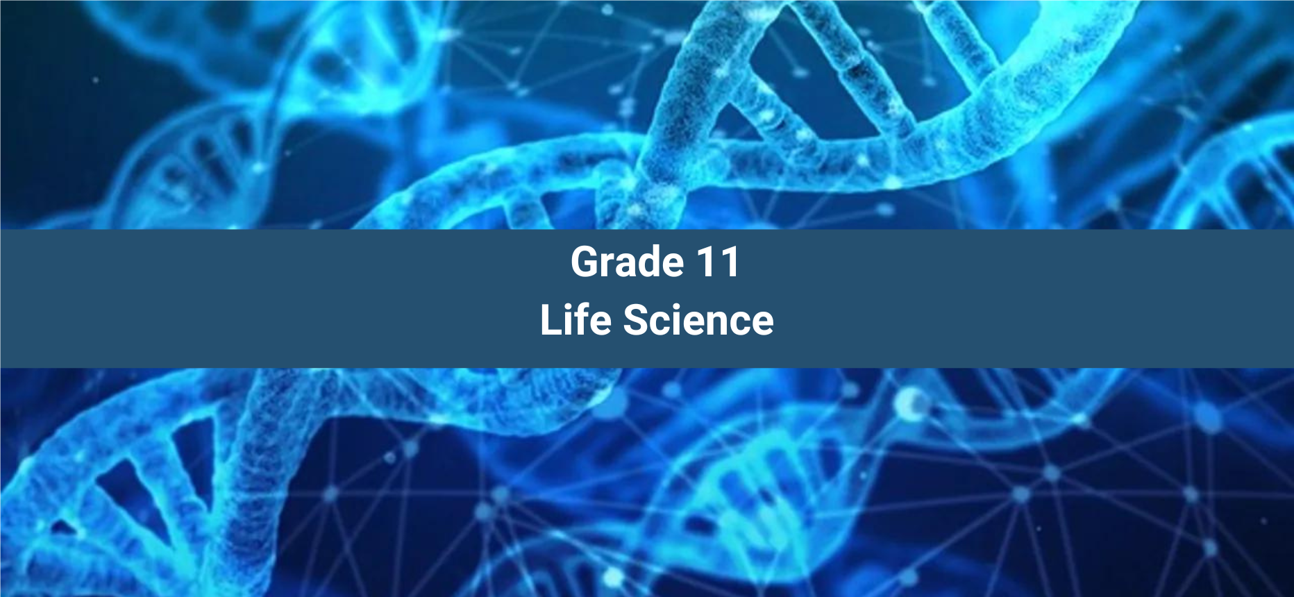 Class 11 Life Sciences