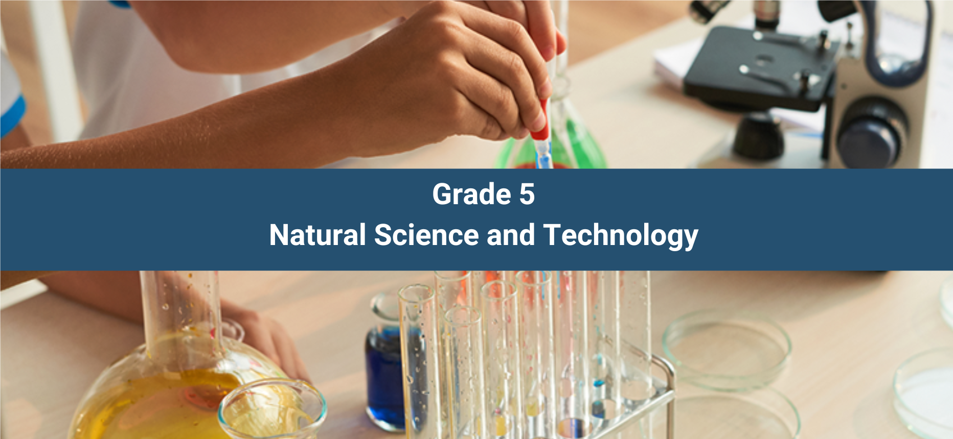 Class 5 Natural Sciences