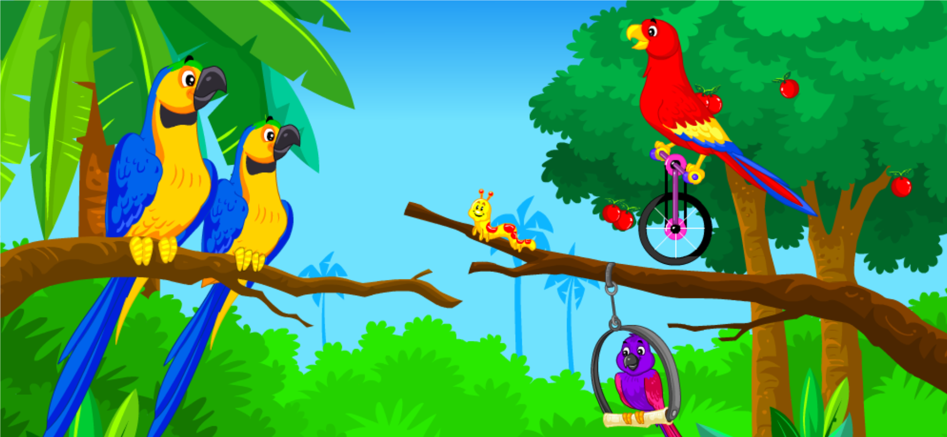Birds Songs